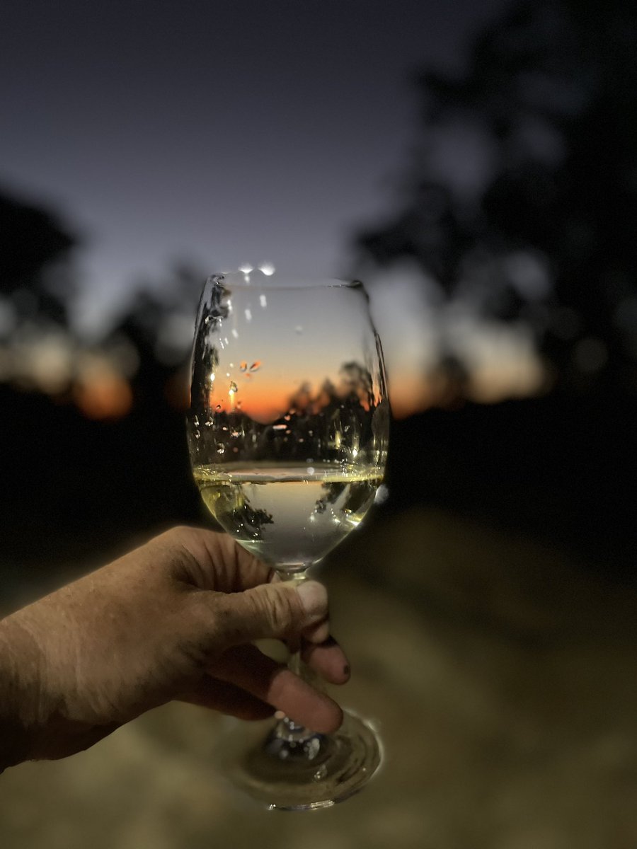 FantasyDiving tweet media