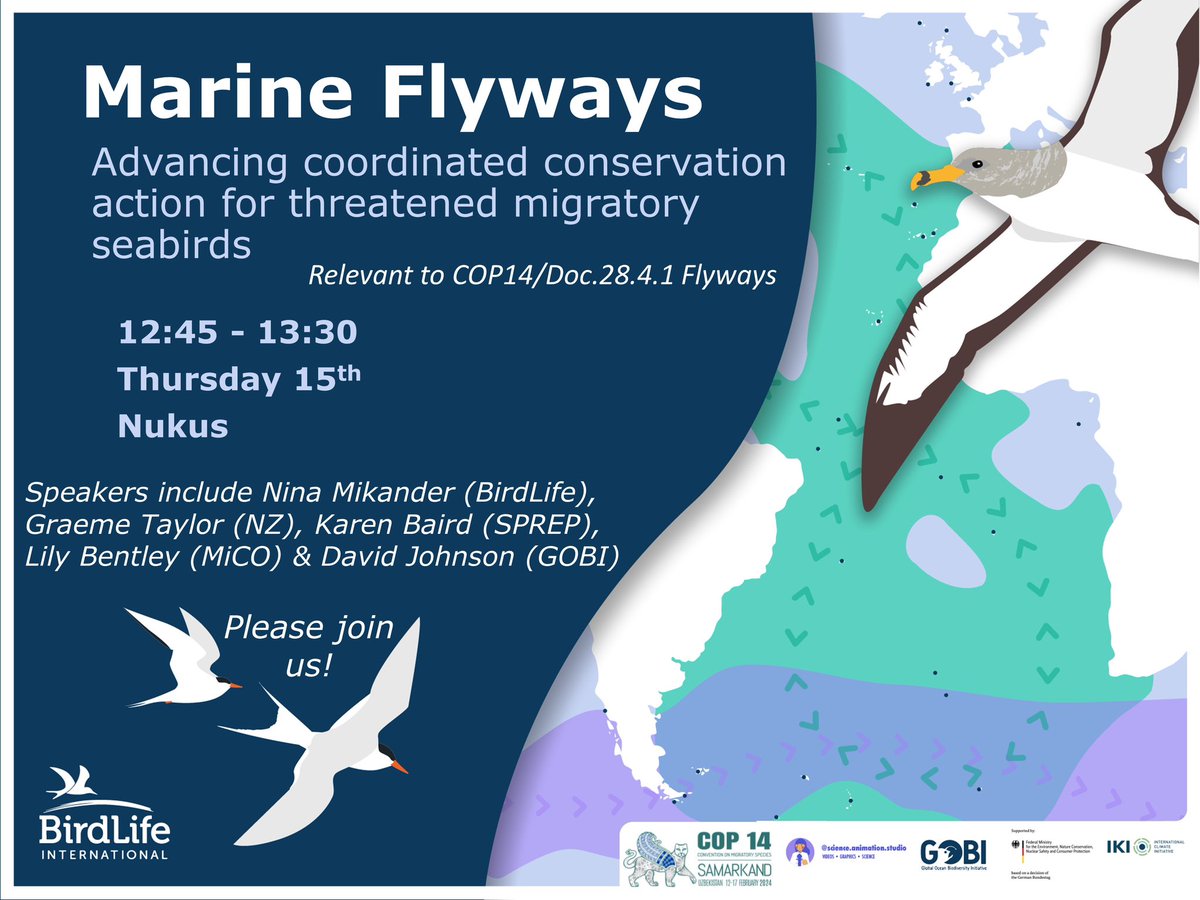 Want to hear more about the marine flyways concept and how it can help seabird conservation? 

Join the #CMSCOP14 side event on Marine Flyways! 

⏰ Thursday 15th 12:45-13:30
📍Nukus room, Expo centre 

seabirdtracking.org/special/marine…
#MarineFlyways #BLScience #seabirds