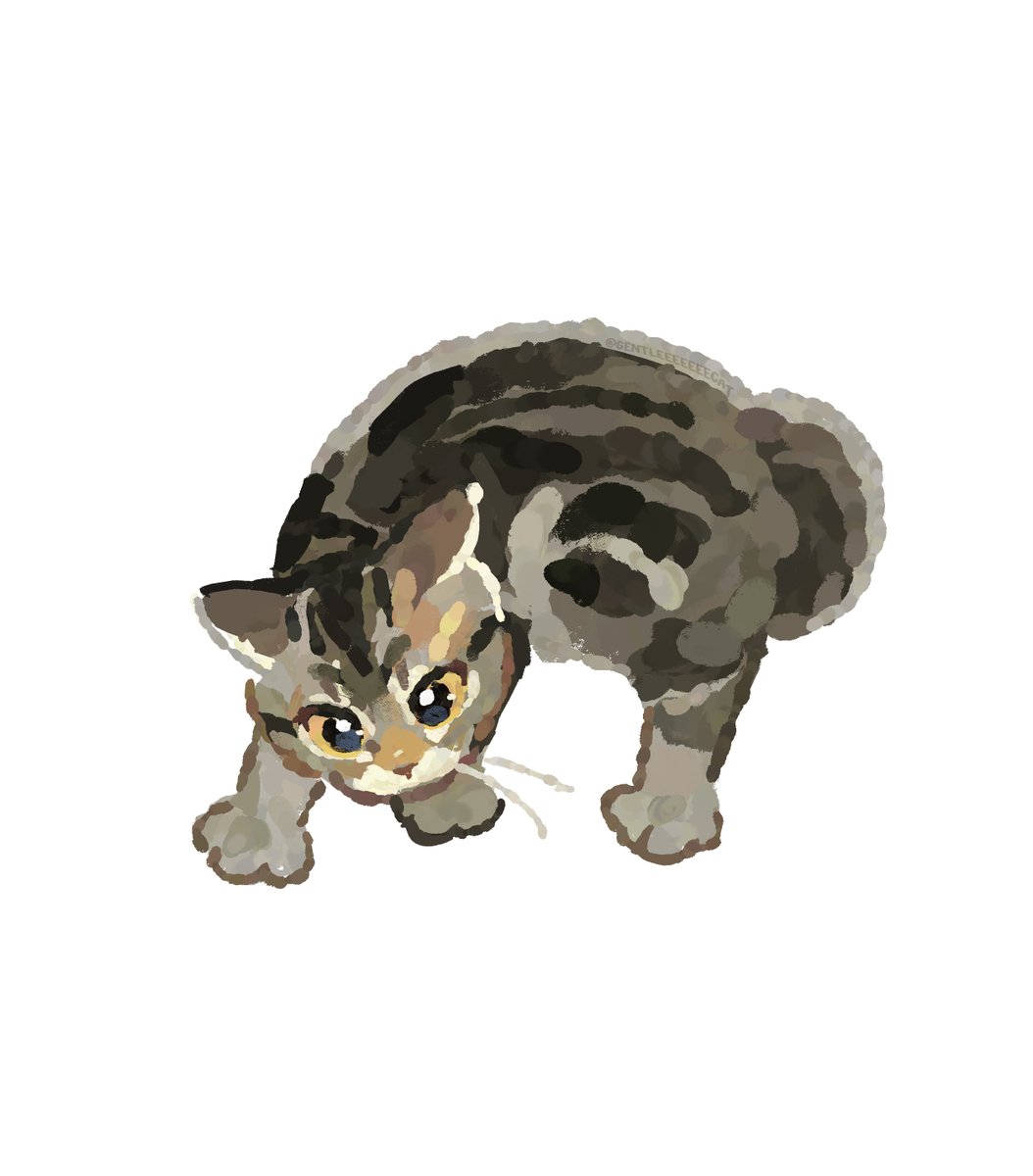 gentleeeeeeecat's tweet photo. https://t.co/EVii9Wbz3y