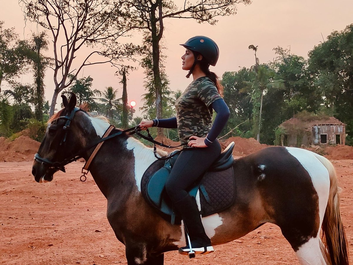 Acing a new skill like a queen 👑🏇 @iamsamyuktha_ has embarked on a journey of learning horse riding for her role in #Swayambhu ❤‍🔥 @actor_Nikhil @krishbharat20 @RaviBasrur @manojdft @TagoreMadhu @bhuvan_sagar @PixelStudiosoff @TimesMusicHub @jungleemusicSTH