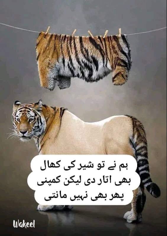 ReadinWakil's tweet photo. ابھی جو الیکشن ہوئے اس نے تمام حقائق
آشکارہ کردئیے ۔
اسٹیبلشمنٹ کو چاہئیے اب عوامی مینڈیٹ
مان لیں ، اسی میں ملک و قوم کی بھلائی
پوشیدہ ہے ۔
ہٹ دھرمی پاکستان کو مزید تباہ
 کرے گی ۔۔۔۔ !!!!
@OfficialDGISPR https://t.co/BSZxBViReu