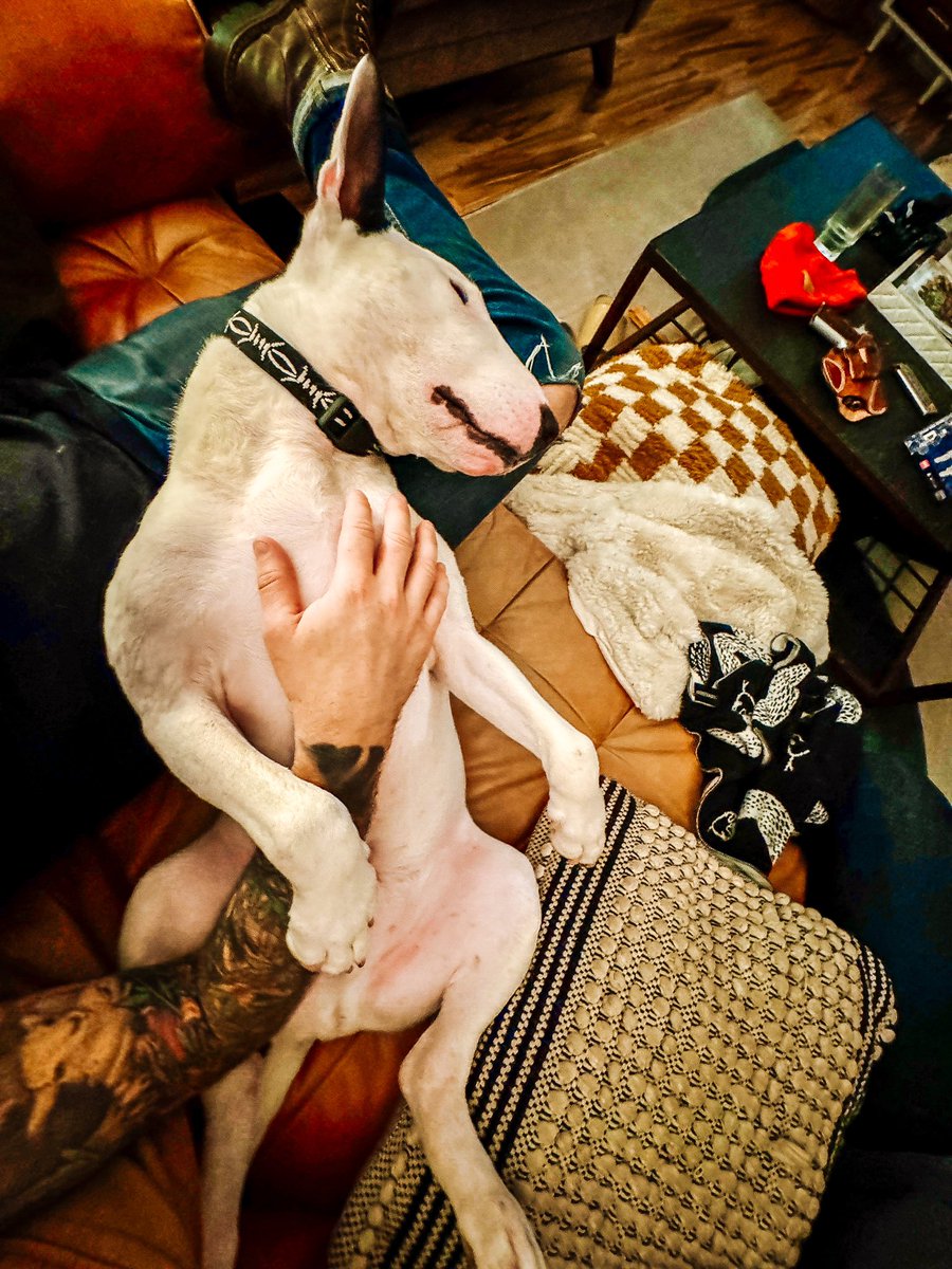 Ryan Blake Martin (@ryanblakemartin) on Twitter photo 