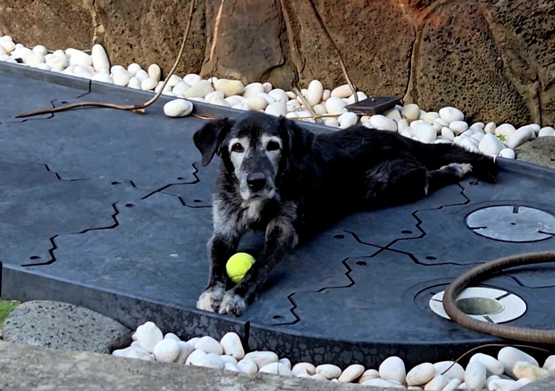 RD, Ph.D. tweet media