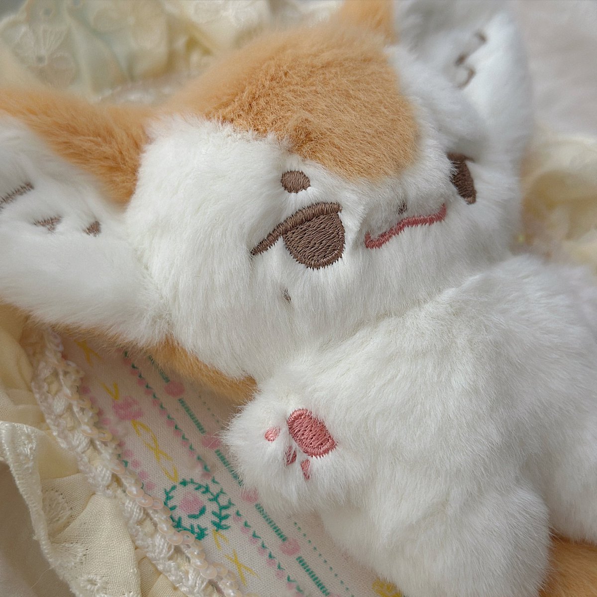 연듀니 눈물점🦊⭐️