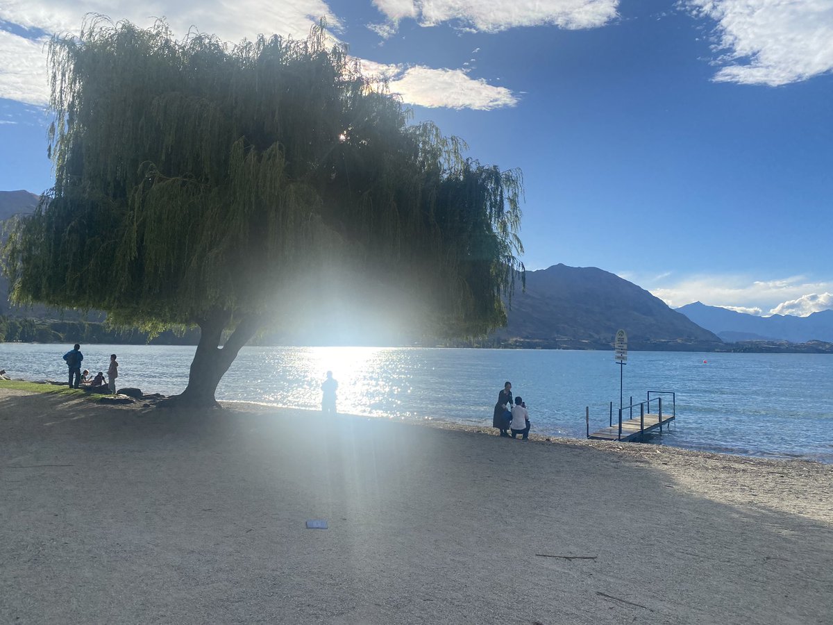 winter_wilson's tweet photo. Queenstown we have a problem! WW down under #5 
More Bloggage, follow the link should you wish 😊

https://t.co/frfLymt57g https://t.co/mTYx0F5EI1