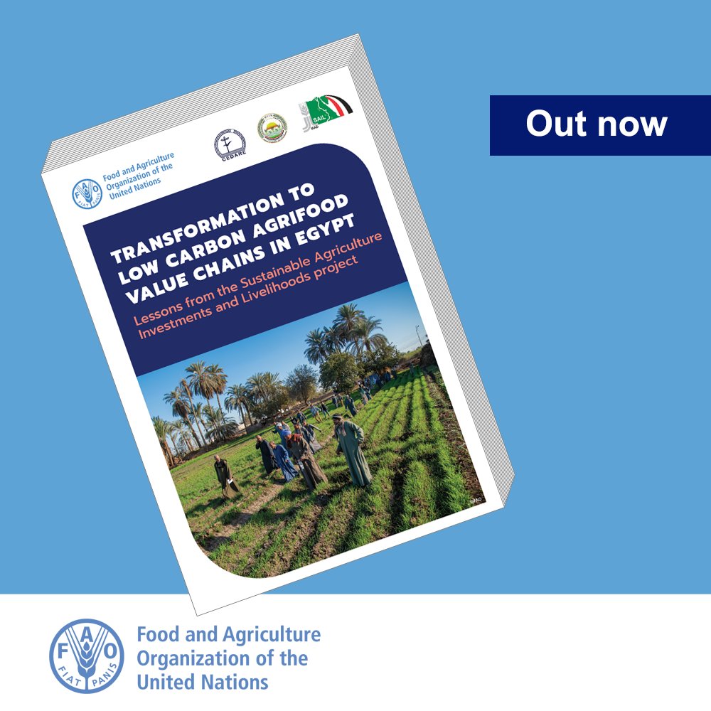 📢New <a href="/FAO/">Food and Agriculture Organization</a> Publication:: Transformation to low carbon agrifood value chains in #Egypt🇪🇬

Download now👉 bit.ly/low-carbon-agr…