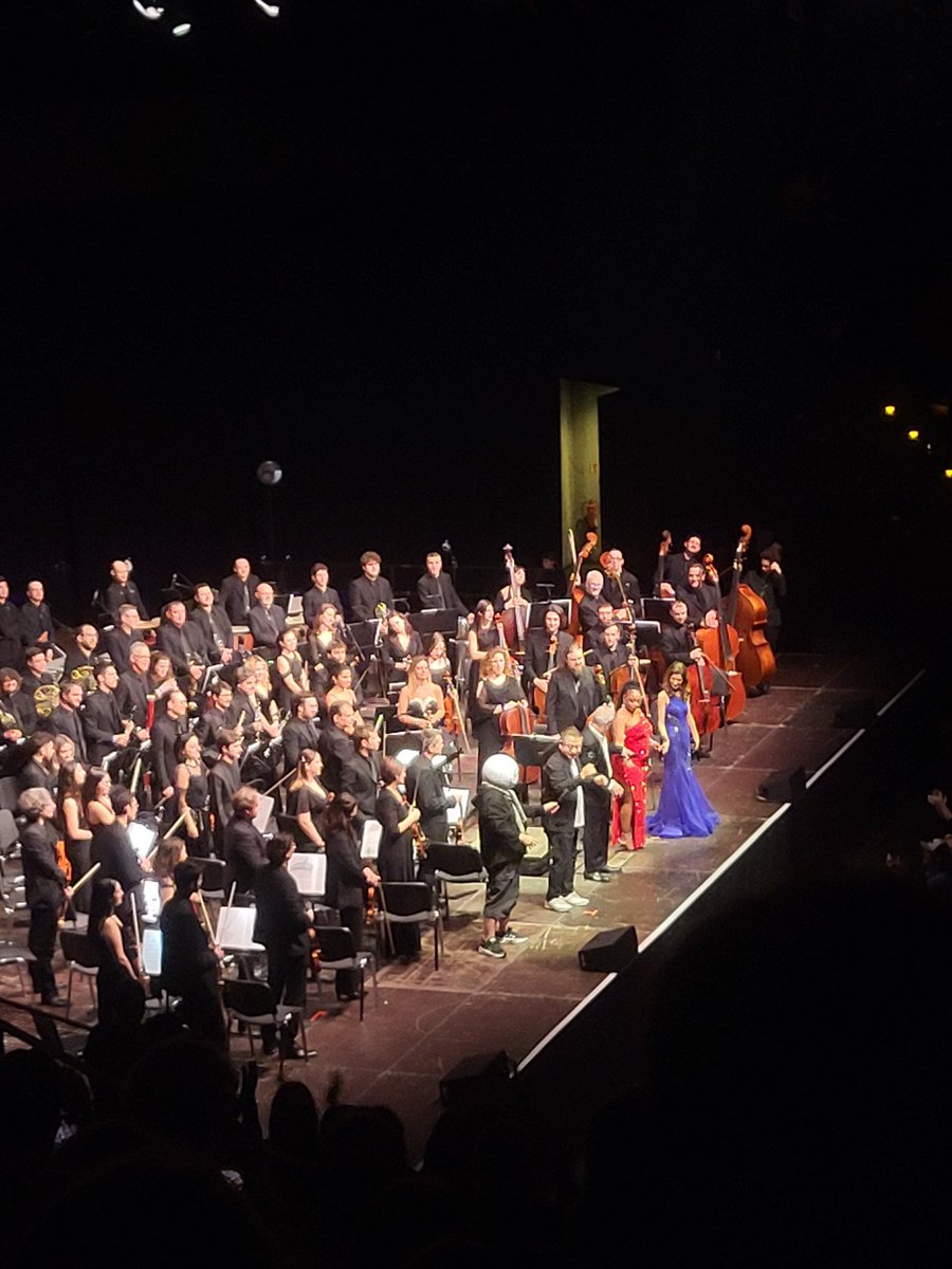 What an experience! I'll be writing a full review of the NieR:Orchestra Concert that'll be published on our research group's page (<a href="/FVMWTweet/">Forschungsgemeinschaft VideospielMusikWissenschaft</a>) but I can confidently say that it was a night to be remembered! It was worth taking on the journey to Berlin.
#NierConcert | #12024ぬい旅