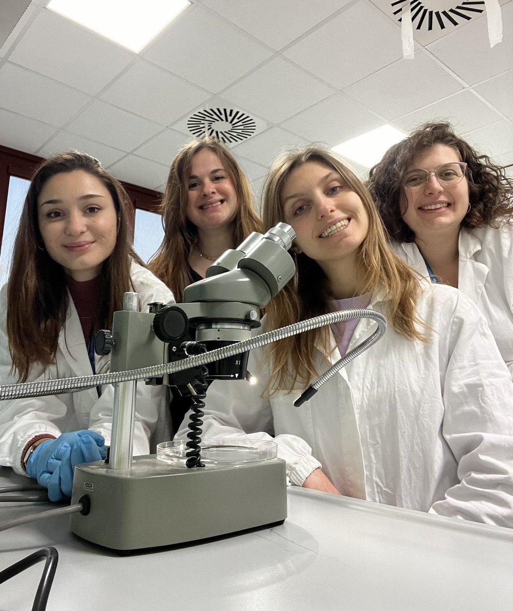 UniTrieste's tweet photo. Oggi #11febbraio celebriamo  l'International Day of Women and Girls in Science

Ci uniamo alla comunità globale per promuovere un’equa partecipazione delle donne e delle ragazze negli ambiti di studio e lavoro delle discipline scientifiche

Leggi i dati 👉 https://t.co/76fDoV1UCd https://t.co/fIduxtVXpU