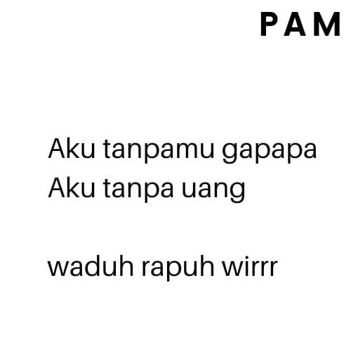 P A M tweet media