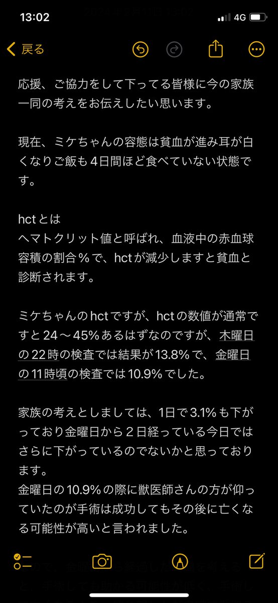 SkyRoyal797's tweet photo. 今現在の状況や考えを、お伝えしたいと思います。ミケちゃんの動画はお昼に撮った動画になります。

#拡散希望 #ドナー募集 #ドナー猫  #猫 https://t.co/J6CG665UZ7