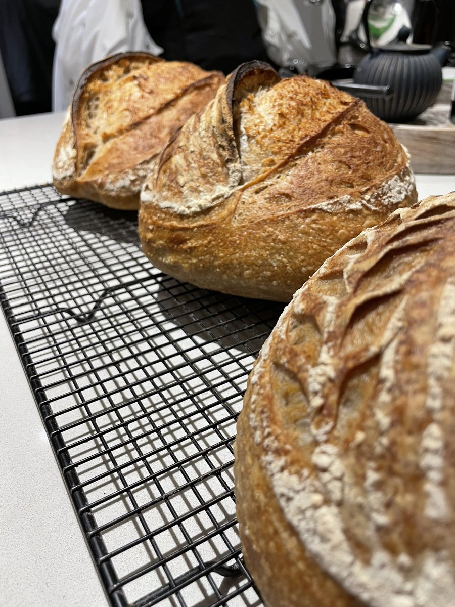rct_smith's tweet photo. 7 seed and rye sours. # horshambakery #shiptonmill #bakerybits #realbread #sussexbakeries https://t.co/BsQIxomIhP
