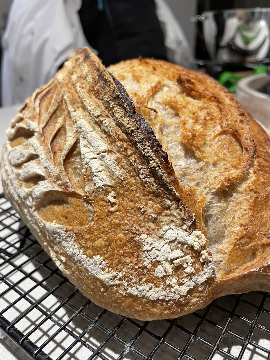 rct_smith's tweet photo. 7 seed and rye sours. # horshambakery #shiptonmill #bakerybits #realbread #sussexbakeries https://t.co/BsQIxomIhP