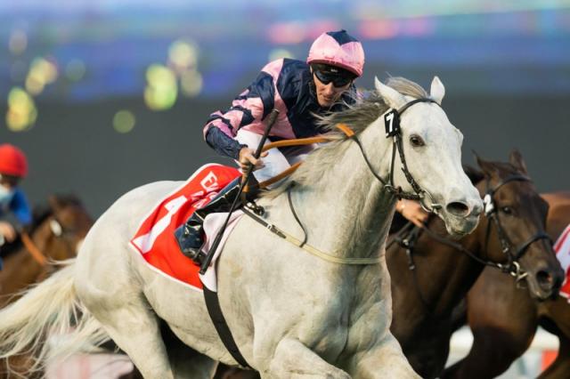 Celebrating LORD GLITTERS! 💫 A winner three times at Meydan, including the G1 Jebel Hatta in 2021, he has the Lord Glitters Handicap run in his honour on Friday. @StudElwick