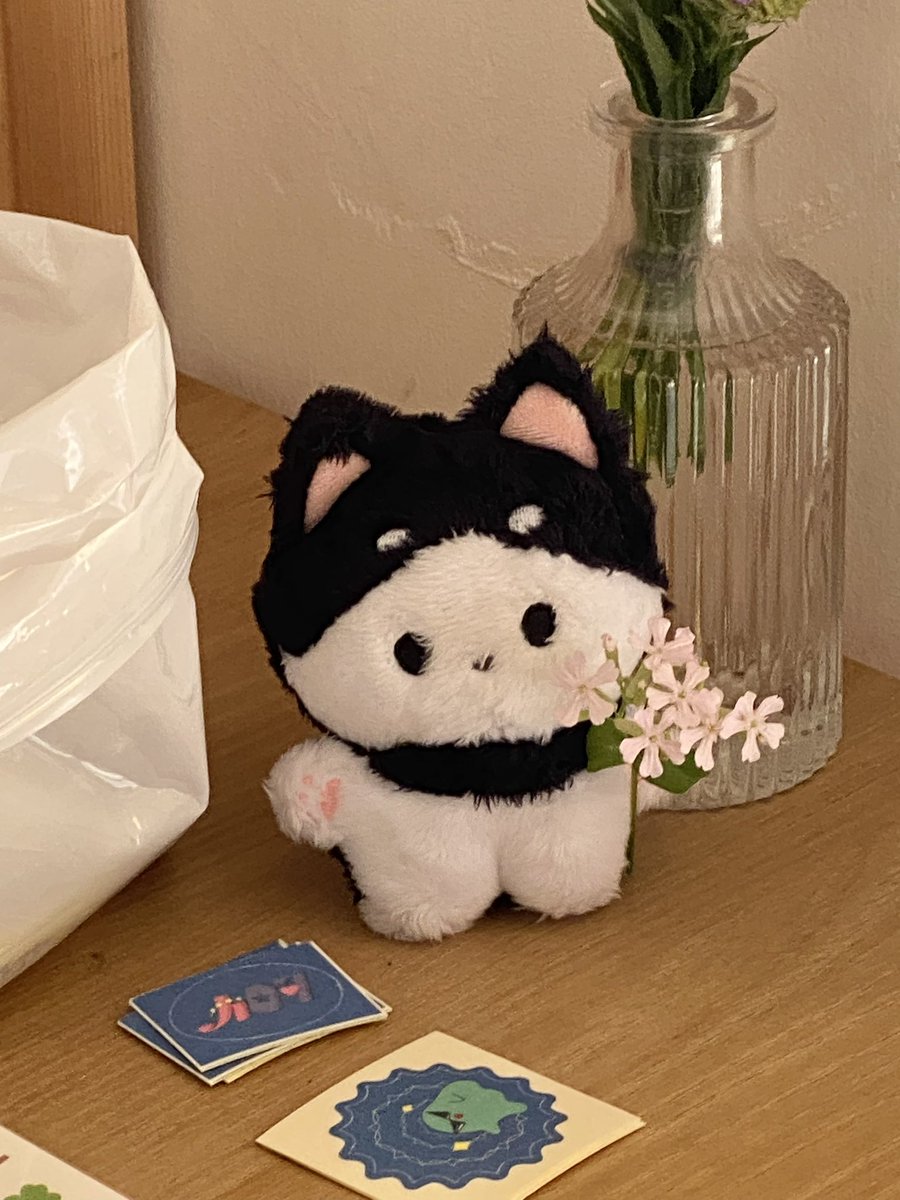 nuntteojo's tweet photo. 🐾🌷 https://t.co/0KoDh3K0mB