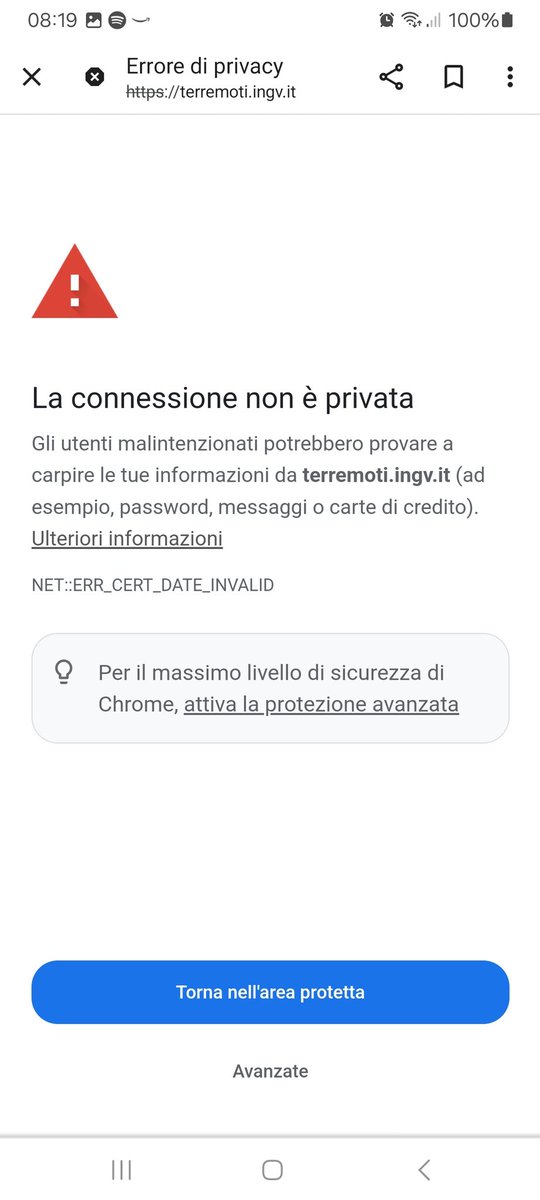 antonella__d tweet media