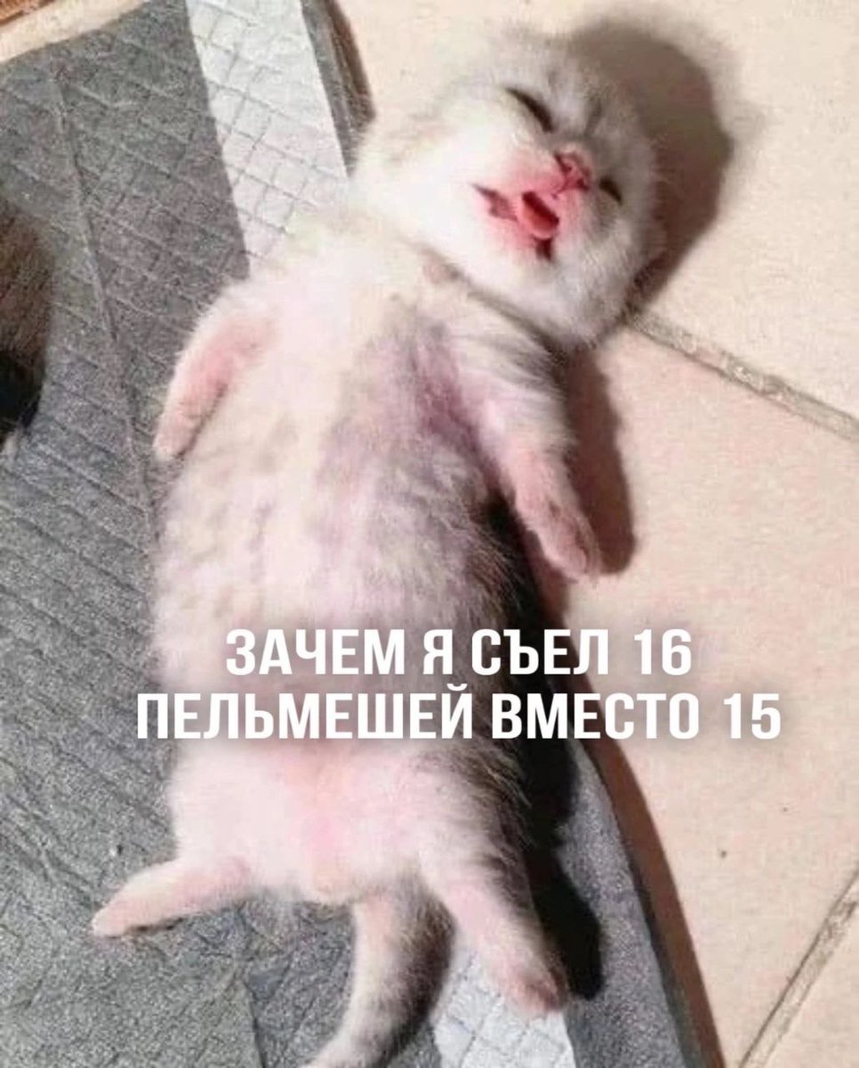 нашёл охуенную пельменную и ни о чем не сожалею