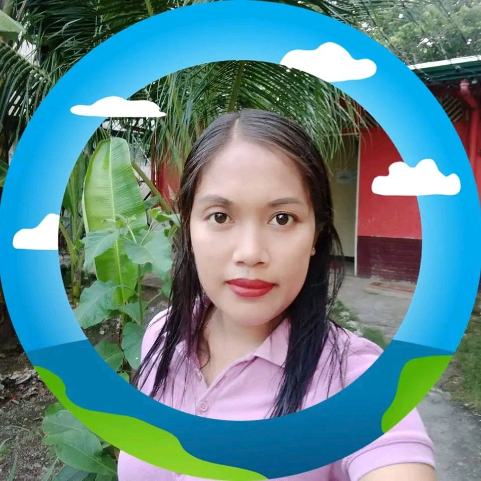 phi26951 tweet picture