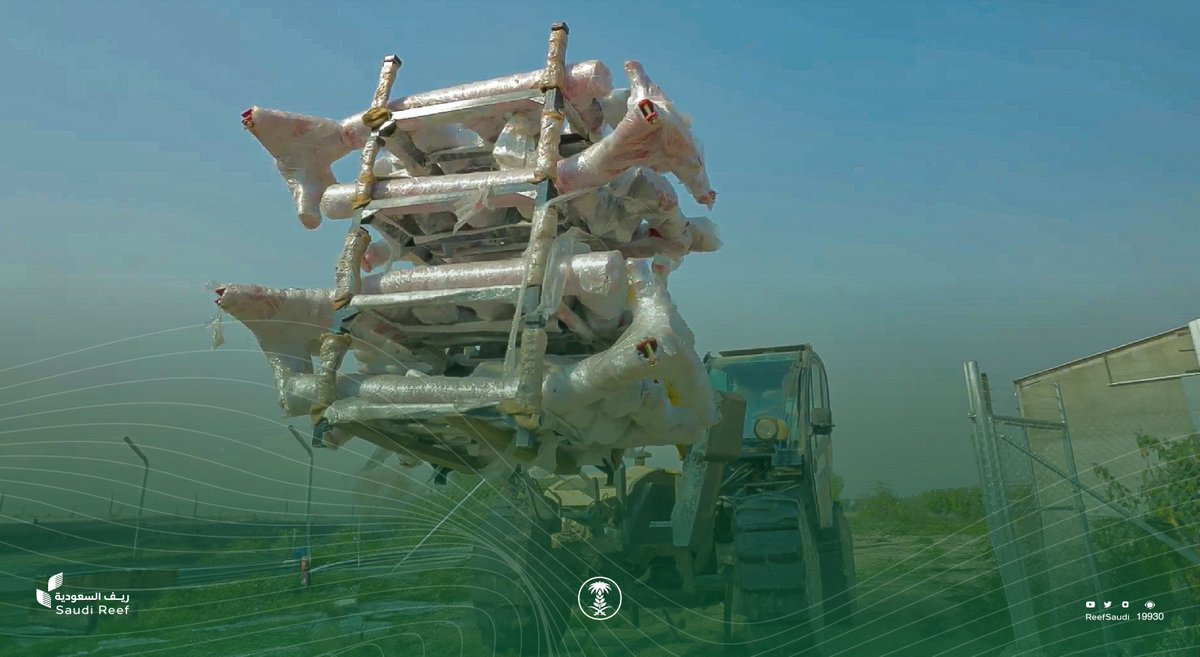 ريف السعودية tweet media