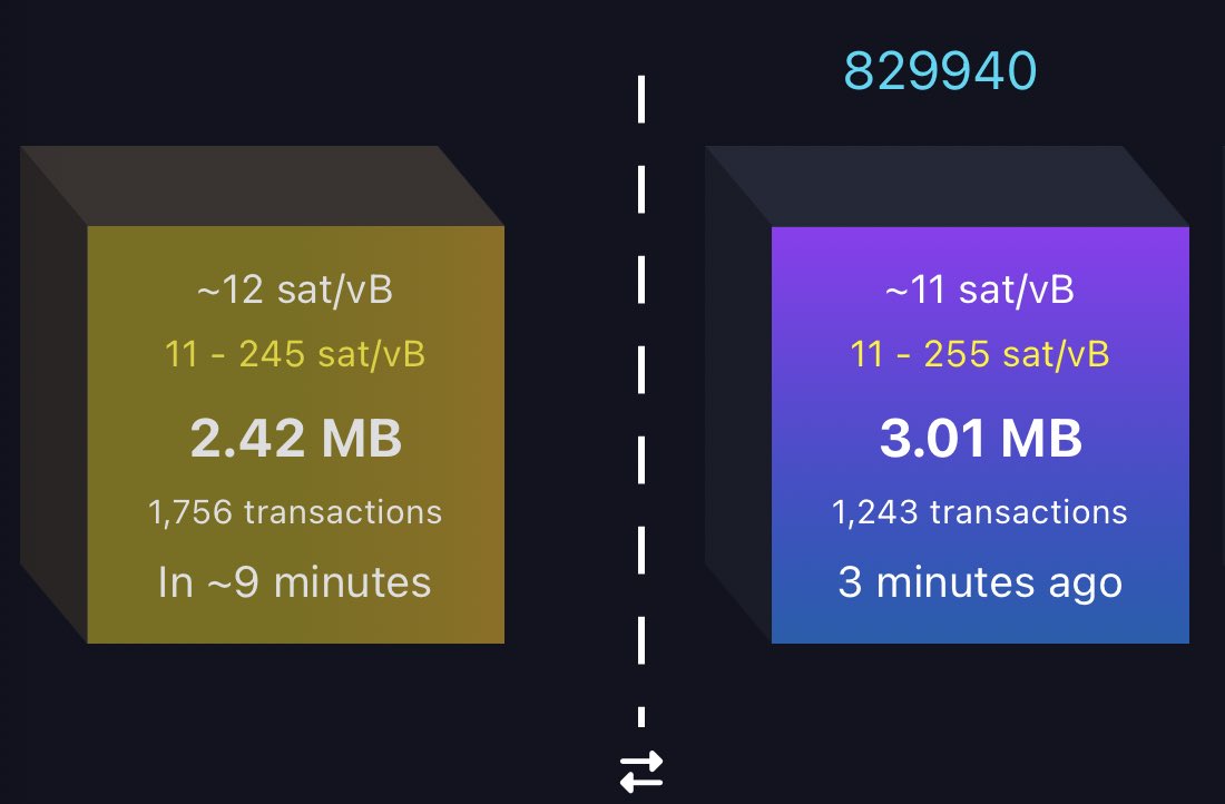 pixelcats tweet media