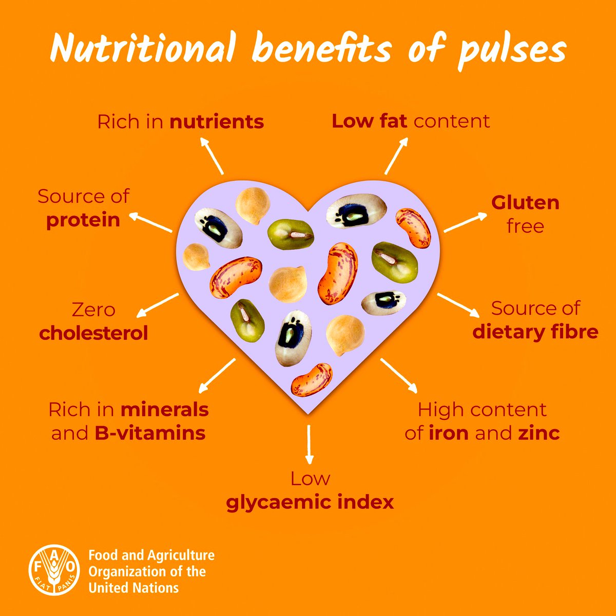 Pulses  are our delicious ally in achieving food security, and reducing malnutrition.

#WorldPulsesDay