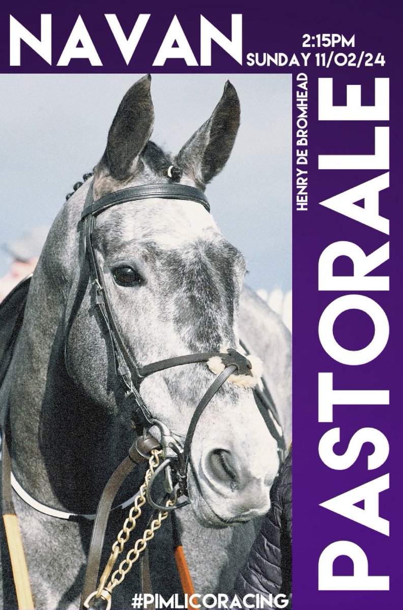 PASTORALE heads to @NavanRacecourse to run in the Listed Apple’s Jade Mares Novice Hurdle for @HenrydeBromhead with Darragh O’Keeffe in the saddle. Good luck to all of her owners! 🍀 💜 #PimlicoRacing