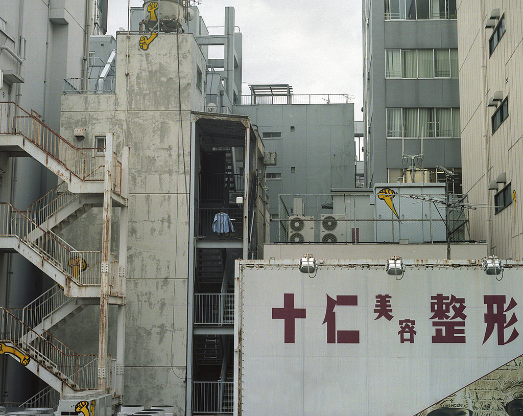 archillect's tweet image. 