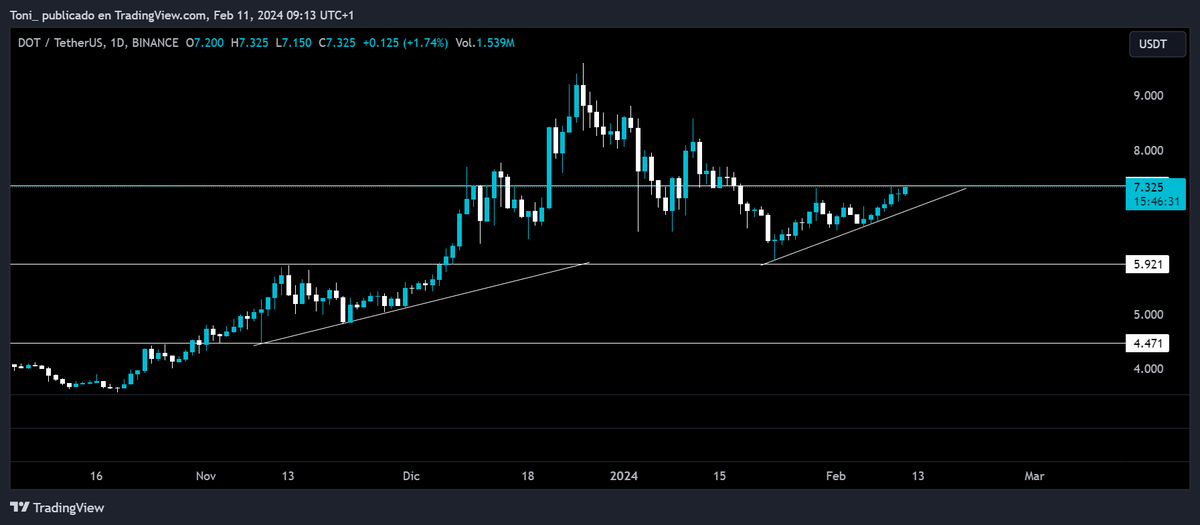 Tony ₿itcoin⚡ tweet media
