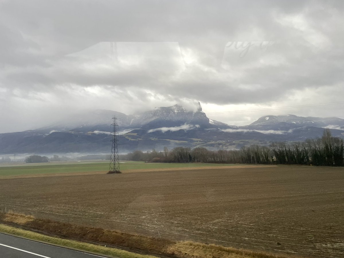 Mrs.S.Harrington Blessed Carlo Acutis tweet media