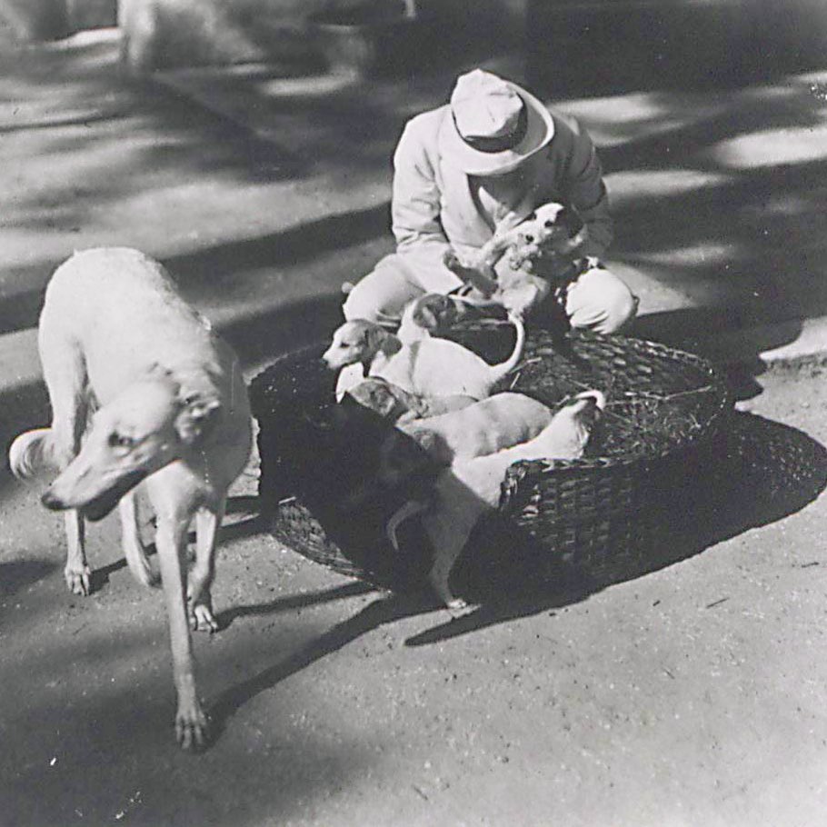 Gabriele d’Annunzio con una cucciolata di levrieri ad Arcachon.
#vittoriale #gabrieledannunzio #fotodepoca #oldphoto #oldphotos #oldphotography #levrieri