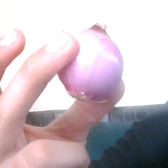 itswolfboi's tweet photo. i will eat this onion and make this my pfp if this tweet gets 15 likes #challenge #LIKEs https://t.co/ZYIFqBjuut