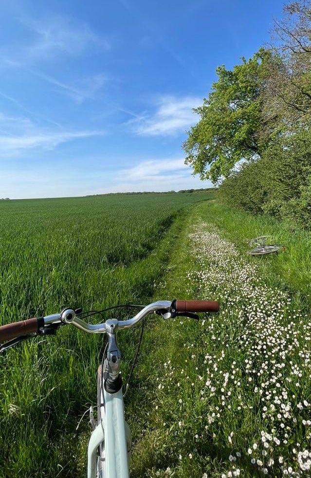 𝕵𝖆𝖓𝖊 tweet media