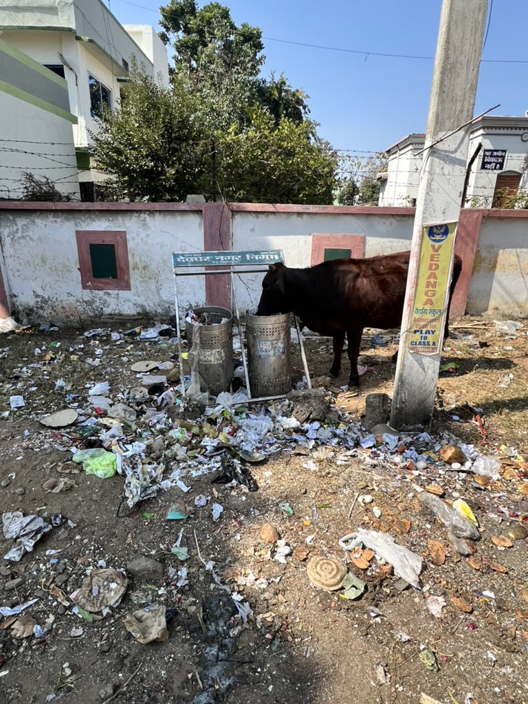 sushmitnath's tweet photo. Attention @JharkhandCMO and @DCDeoghar This is the scene from Tiwari Chowk, College Road Deoghar, a prominent residential area. It’s a pity that this is a daily scene. The falling Deoghar Nagar Nigam signboard is indicative of the declining sanitary standards in the temple town. https://t.co/aIBAc6NAgI