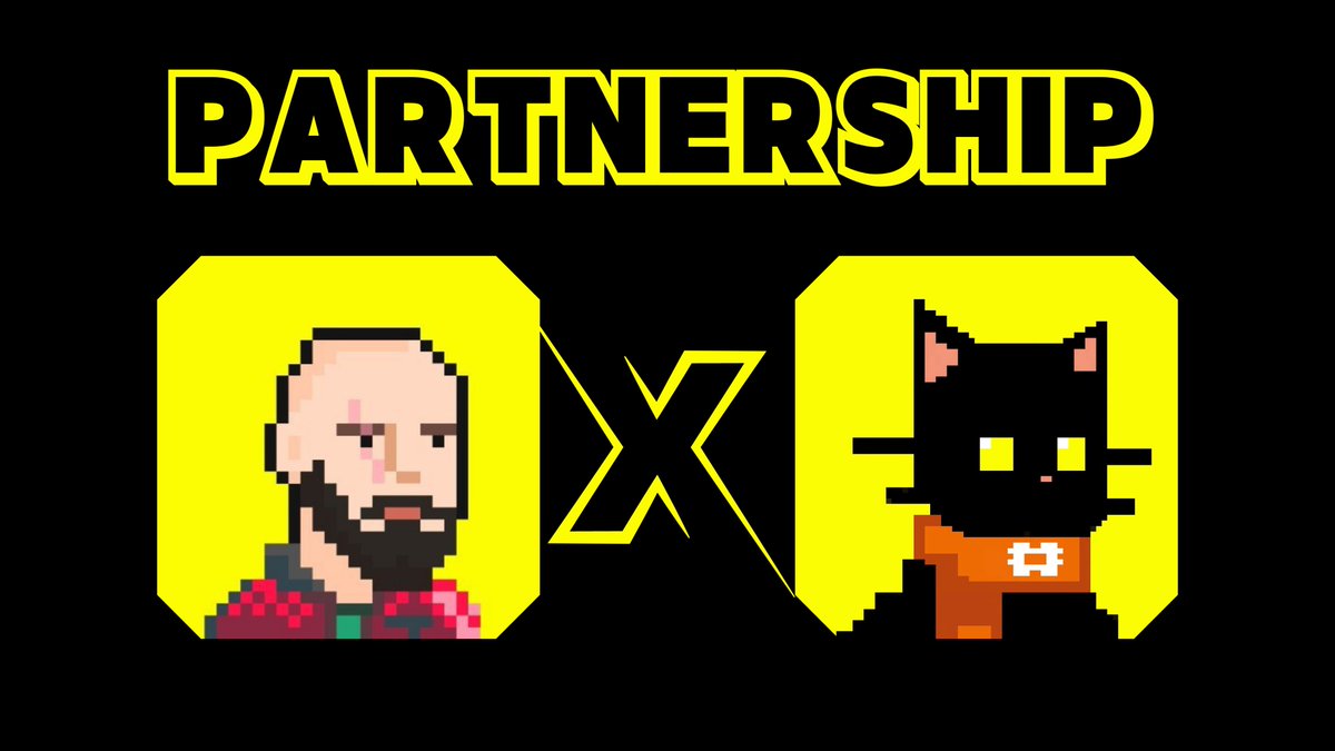 MMSS | 🐈‍⬛🐱 tweet media