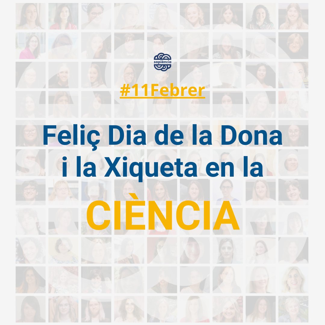 sapienciapremis's tweet photo. ✨Dia Internacional de la Dona i la Xiqueta en la Ciència 2024.⁣ 👩🏻‍🦱👧🏻
⁣
En Sapiència som moltes dones i joves científiques en totes les àrees temàtiques.🎨📚🔬⚛️📠
⁣
Feliç dia a totes!👏👏

RUVID - Red de Universidades Valencianas
@GVAeducacio 
⁣⁣ https://t.co/A64MlfG0iw