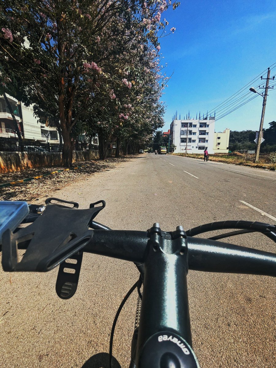 Pruthvinreddy's tweet photo. #Cycling #TrumpetTree https://t.co/PIfgf9gk01