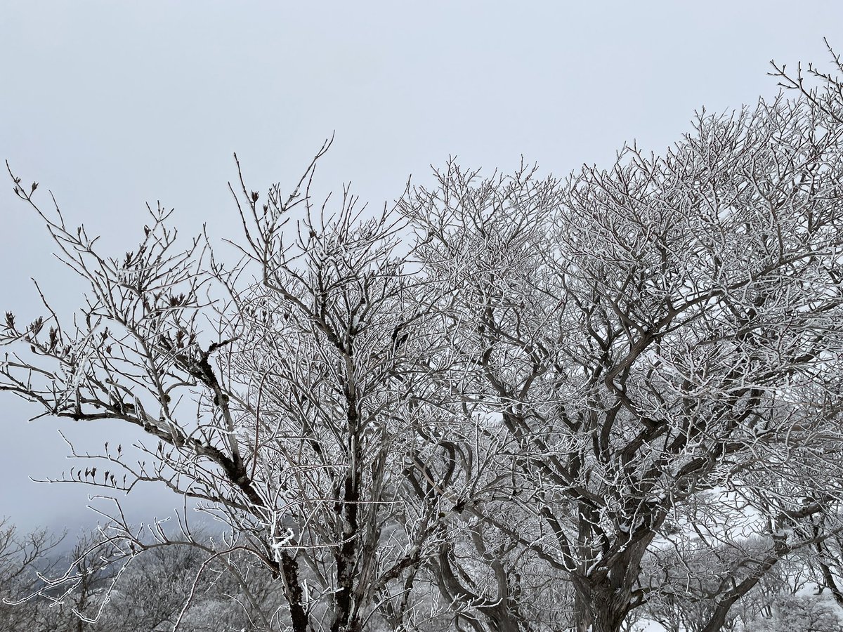 Contre_X's tweet photo. 無事に帰宅！
途中吹雪いてきて、視界悪くなって無理すぎた🥺
アイゼンはめっちゃ良かった！けど雪山はやっぱり怖いわ😂 https://t.co/cQa4XjnKdI