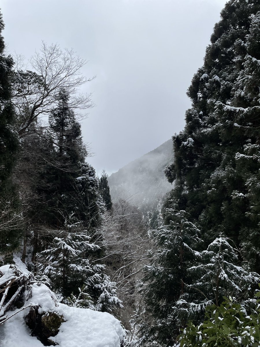 Contre_X's tweet photo. 無事に帰宅！
途中吹雪いてきて、視界悪くなって無理すぎた🥺
アイゼンはめっちゃ良かった！けど雪山はやっぱり怖いわ😂 https://t.co/cQa4XjnKdI