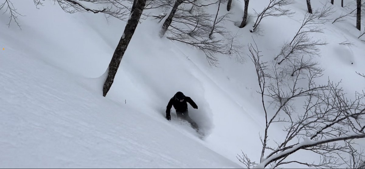 Powder Day🙏
#夏油高原 #パウダー #JaPow