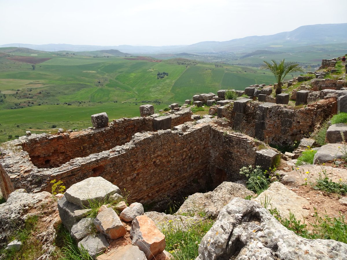 maelassal's tweet photo. Tiddis, une cité #numide puis romaine qui dépendait de #Cirta (#Constantine), c'est un authentique site berbère, l'antique Castellum Tidittanorum, ville perchée.. Une merveille architecturale et d'ingénierie ! 🇩🇿
#Algérie
#الجزائر https://t.co/DwNqjwMbyl