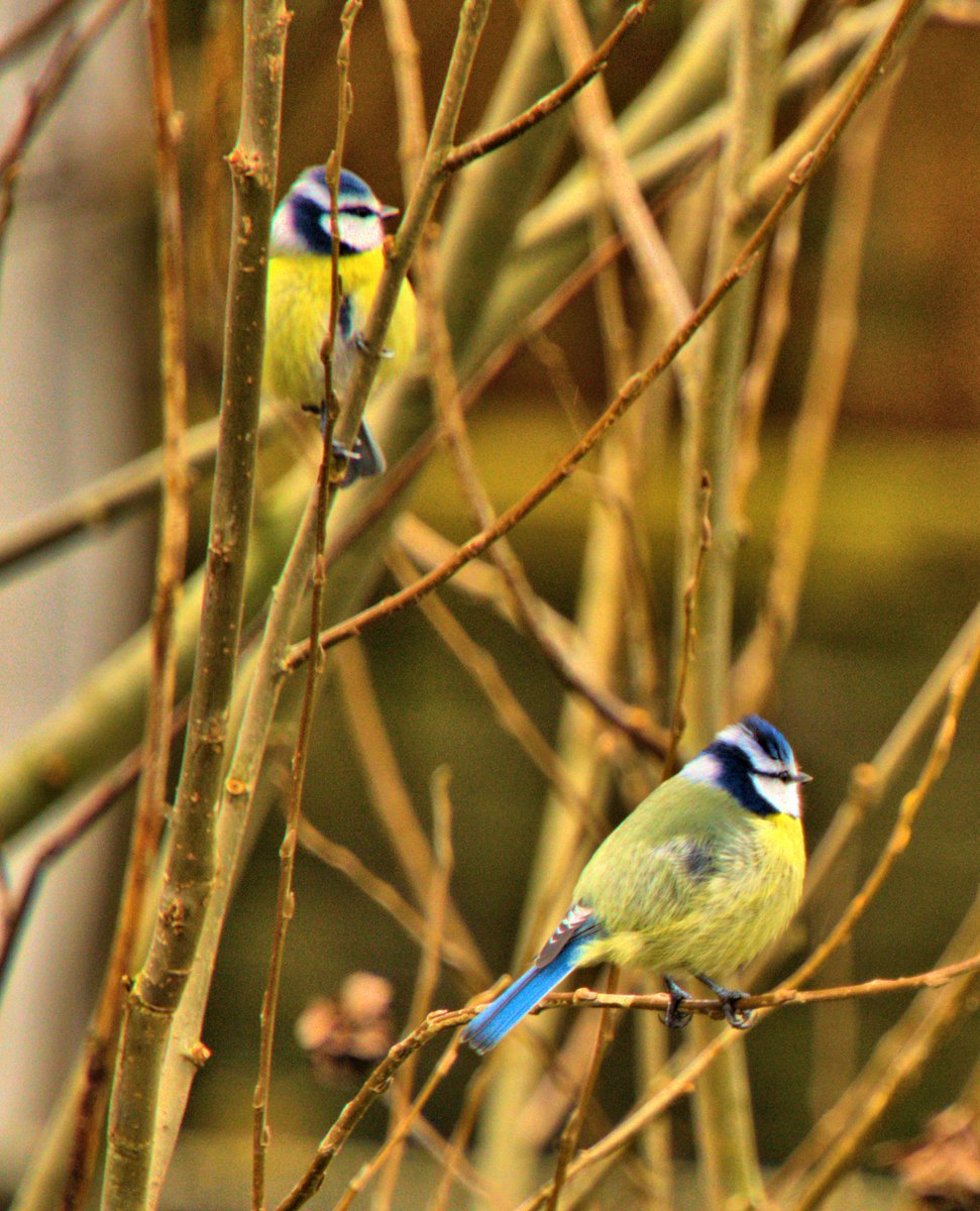 Muhammad_osm's tweet image. #nature