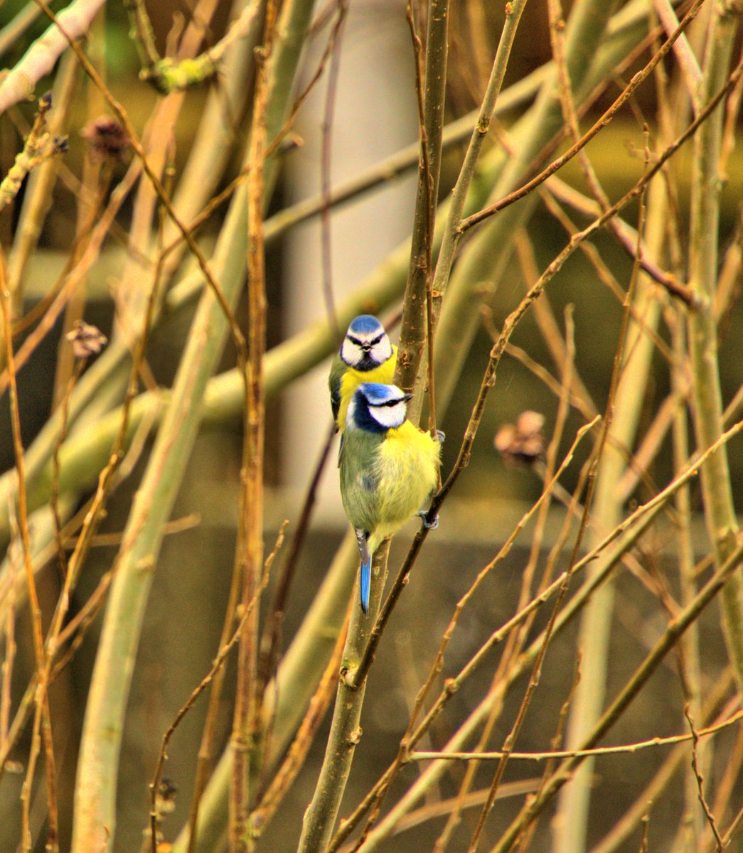 Muhammad_osm's tweet image. #nature