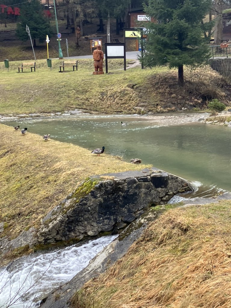 Za příspěvek ke zrušení Jizerské padesátky jsem obdržel tři lajky. Nabízím zdejšímu konzervativnímu publiku lyžování na Malino Brdo a Donovaloch, Velká Fatra plus bruslení Hrabovo. Prosím aspoň 4 lajky. In #climatecasino lose all.