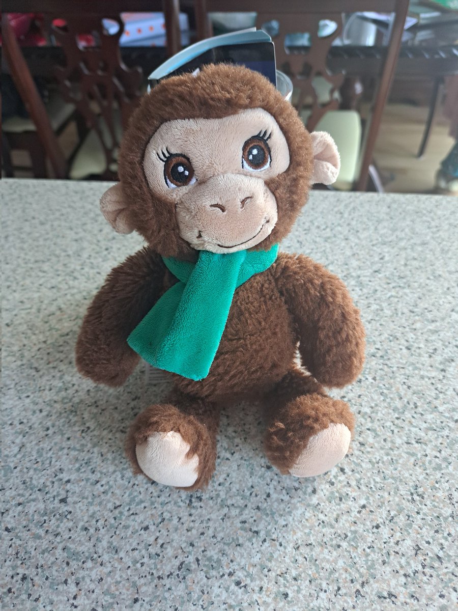 carolkav81's tweet photo. Good afternoon. Some of you may remember I posted about this little guy who I found on the bus yesterday. Well, for now, I've given him the name of Monty &amp; I'd really like to get him home to his owner. So let's hope the power of social media works. Found Saturday 10th of February https://t.co/J5O44rDwPT