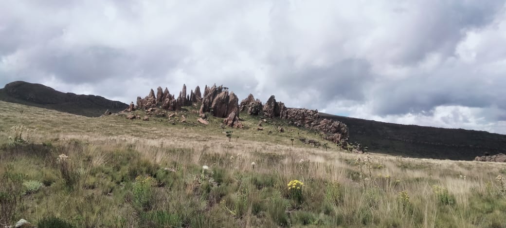 ms_sunshine_ke's tweet photo. Slaying the dragon at the dragon's teeth in the year of the dragon 🐲 🐉#satima #aberdares #outdoors #hiking #makeitkenya #magicalkenya #whyilovekenya https://t.co/oI0vKq6lK5