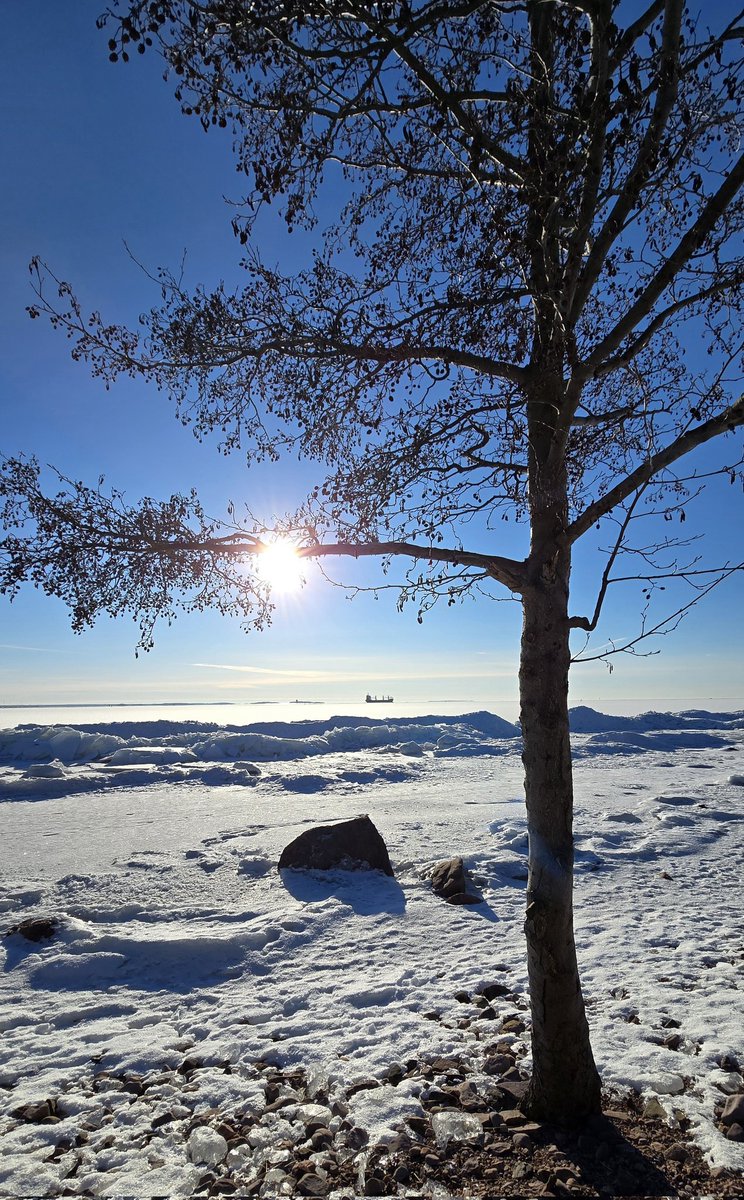 MarjutMattila's tweet photo. #reposaari #pori #finland https://t.co/FMGpuAVXu8