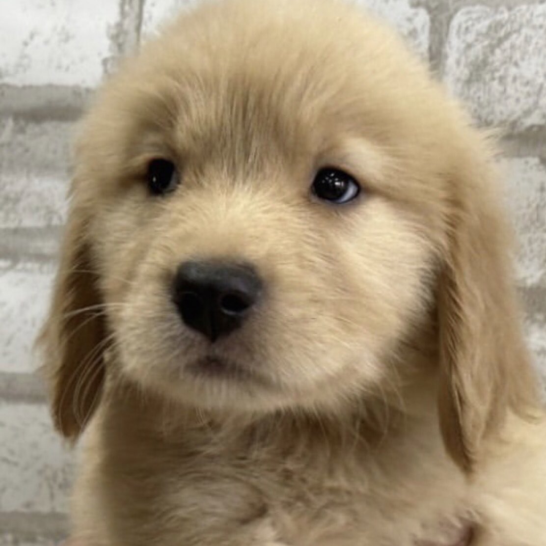 ทำไมไม่มาง้อสักที เทอบอกรักม๋าตุวอื่นนะ ･̆⍛･̆