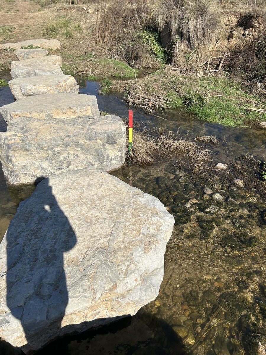 Jordi Turull i Negre tweet media