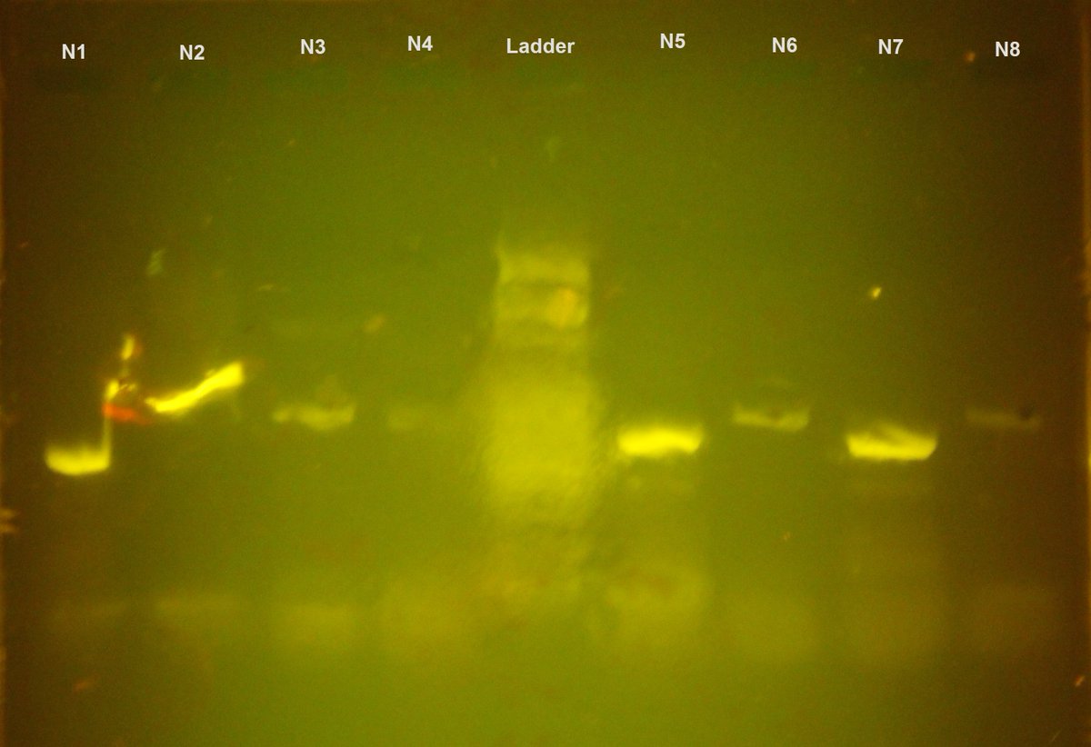 Lawrence Perepolkin tweet media