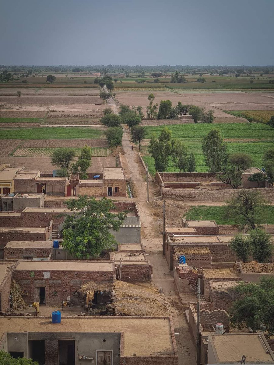 BeautyOfPaki's tweet photo. Village life of Punjab Pakistan ♥️ https://t.co/9HSHG2Qp6E