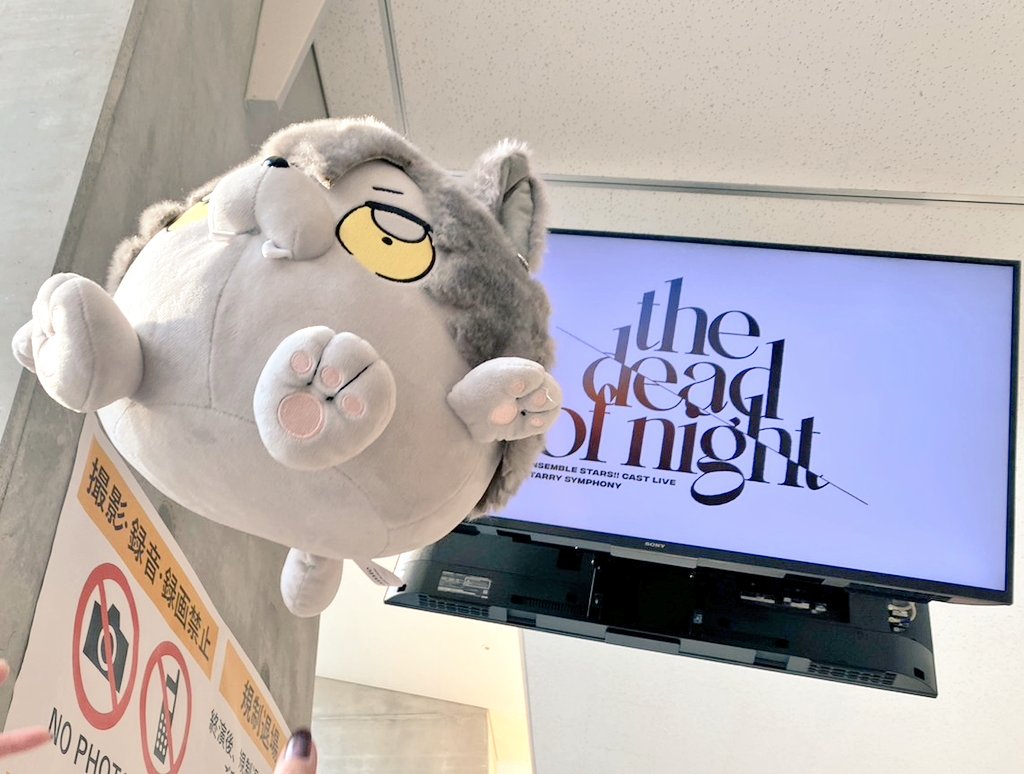 りえ♡ tweet media